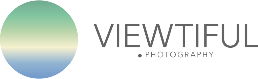 Viewtiful.Photography