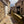 Load image into Gallery viewer, Pitt Lane