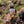 Load image into Gallery viewer, Puffin in the Pink