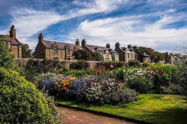 Lerwick Flower Park