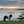 Load image into Gallery viewer, Trondra Trotter