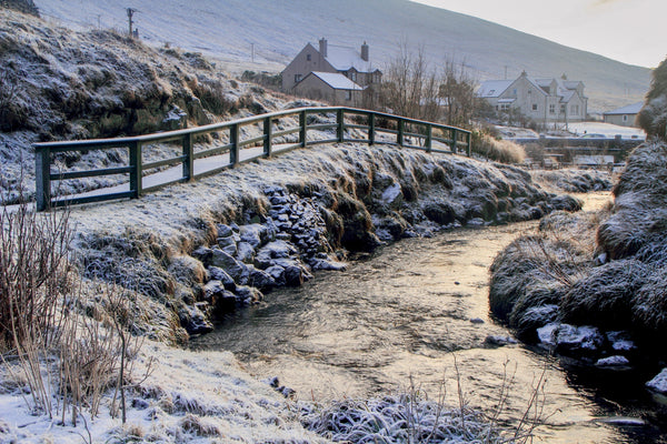Winter garden Weisdale