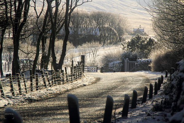 Christmas Card scene