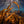 Load image into Gallery viewer, Kelp Ribbons