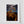 Load image into Gallery viewer, Kelp Ribbons