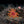 Load image into Gallery viewer, Sunstar throne