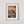 Load image into Gallery viewer, Anemones Galore