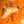 Load image into Gallery viewer, Baby Hermit
