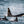 Load image into Gallery viewer, Orcas