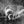 Load image into Gallery viewer, Otter