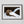 Load image into Gallery viewer, Otter in the Snow
