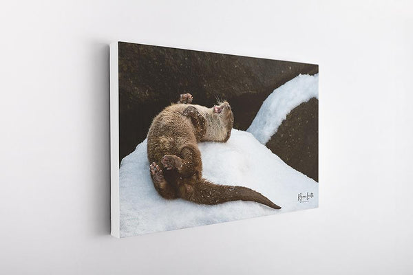 Otter in the Snow