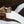 Load image into Gallery viewer, Otter in the Snow