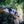 Load image into Gallery viewer, Puffin