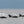 Load image into Gallery viewer, White-beaked Dolphins