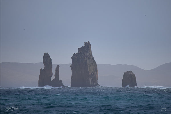 The Drongs, Hillswick