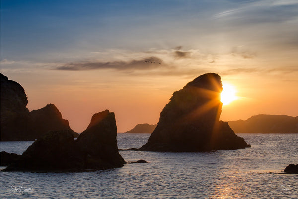 Spiggie Voe, or “Peerie Spiggie”