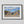 Load image into Gallery viewer, Conga Dogs