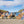 Load image into Gallery viewer, Conga Dogs