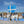Load image into Gallery viewer, Shetland Flag Shelties